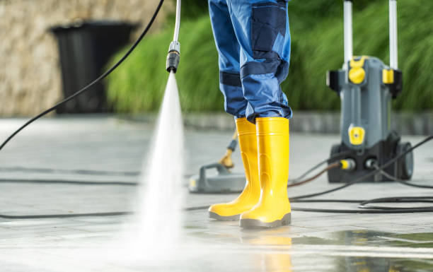 Best Deck Cleaning Services  in Camanche, IA
