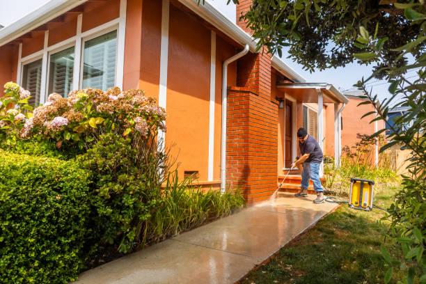 Best Commercial Building Pressure Washing  in Camanche, IA