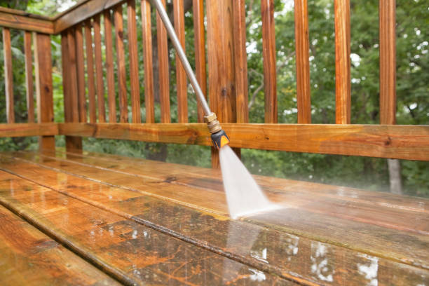 Best Affordable Pressure Washing  in Camanche, IA