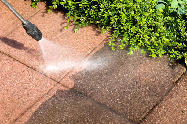 Best Deck Pressure Washing  in Camanche, IA